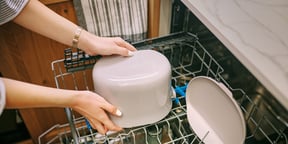 Proper disposal of organic waste - Organko Daily is dishwasher safe
